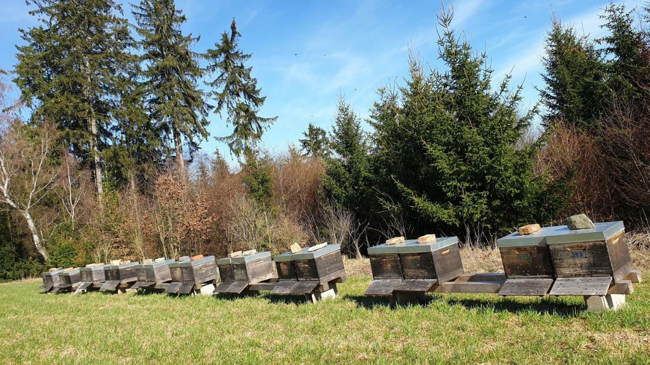 Ferienwohnung Gruengut Weckersdorf Buitenkant foto